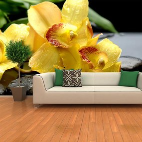 Sablio Tapeta Žltá Orchidey - 336x220 cm