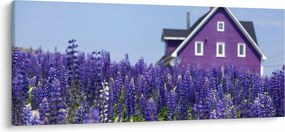 Obraz levanduľového poľa (120x50 cm)