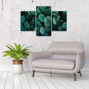 Obraz - Opuncie (90x60 cm)