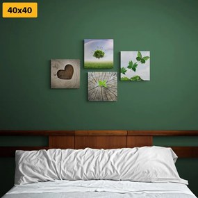 Set obrazov jedinečné zákutia prírody - 4x 60x60