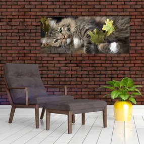 Obraz - Ležiaca mačka (120x50 cm)