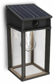 Philips Geri UltraEfficient solárne LED svietidlo so senzorom antracit, 3,2 W, 500 lm, 4000 K