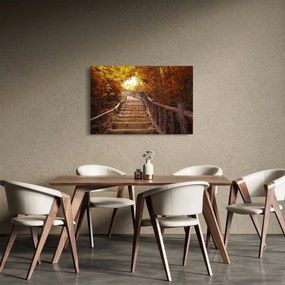 Obraz - Schody v prírode na jeseň (90x60 cm)