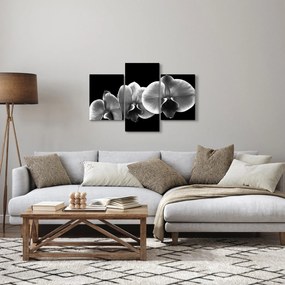 Obraz kvetu orchidey (90x60 cm)
