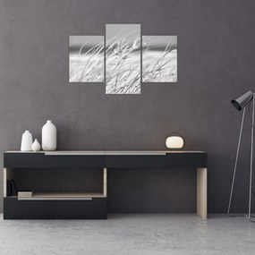 Obraz - Plážová tráva (90x60 cm)