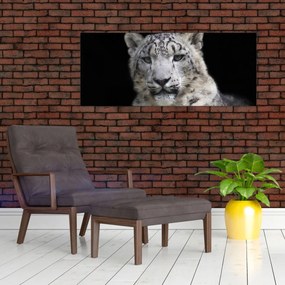Obraz - Leopard snežný (120x50 cm)