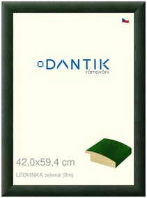 DANTIK rám na obraz 42x59,4 | LEDVINKA zelená (Plexi Čiré)