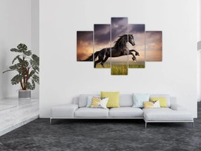 Obraz - Kone (150x105 cm)