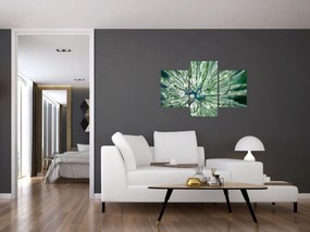 Obraz - Makro snímka kvetu (90x60 cm)