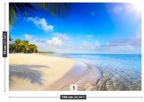 Fototapeta Vliesová Tropická pláž 208x146 cm