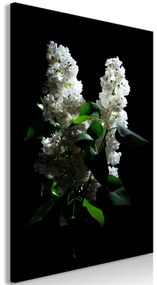 Artgeist Obraz - Lilacs at Night (1 Part) Vertical Veľkosť: 20x30, Verzia: Premium Print