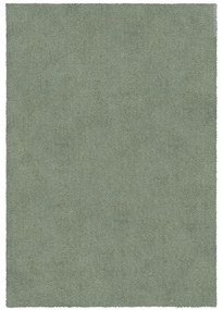 Flair Rugs koberce Kusový koberec Snuggle Sage - 200x290 cm