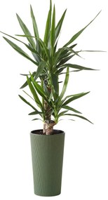 PLASTOVÝ KVETINÁČ URBANIKA ECO 46X25 CM ZELENÁ