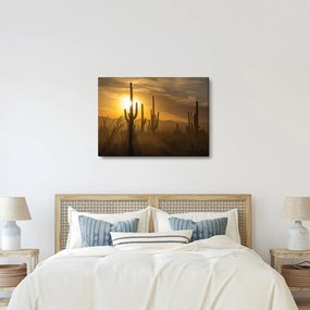 Obraz - Kaktusy Saguaro (70x50 cm)