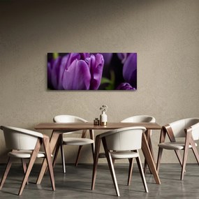 Obraz kvetov tulipánov (120x50 cm)