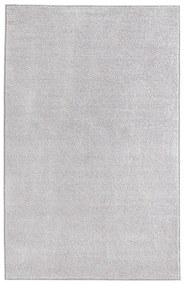 Svetlosivý koberec Hanse Home Pure, 160 x 240 cm