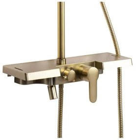 REA-P4121 - Sprchová súprava s batériou BRAVO brúsené zlato