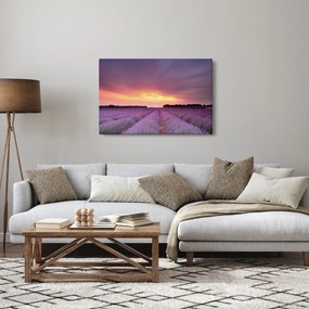 Obraz - Levanduľové pole (90x60 cm)