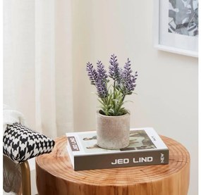 Eglo 428031 - Umelá rastlina v kvetináči CHITOSE 22x8 cm levanduľa 428031