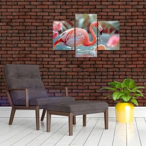Obraz - Plameniak v jazierku (90x60 cm)