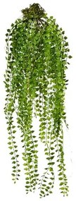 Umelá rastlina Columnea závesná, 48 cm, zelená
