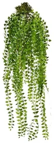 Umelá rastlina Columnea závesná, 48 cm, zelená