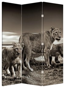 Paraván - Čiernobiele levy (126x170 cm)