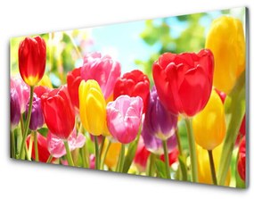 Obraz plexi Tulipány kvety rastlina 100x50 cm