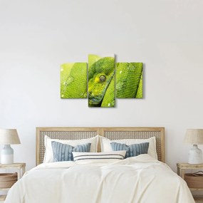 Obraz hada (90x60 cm)