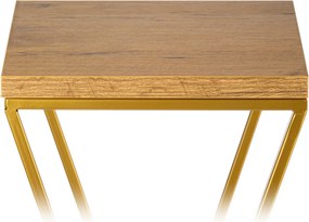 STOJAN NA KVETINÁČ LOFT6 70X24X24 CM ZLATÁ/HNEDÁ