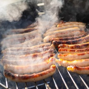 Grilovacia mriežka – Orion