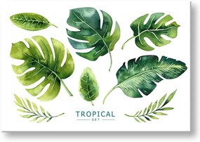 Obraz na stenu s textom Tropical set | rôzne rozmery
