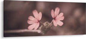 Obraz ružového kvetu (120x50 cm)