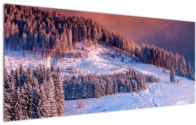 Obraz zimnej krajiny (120x50 cm)