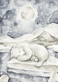 Plagát medveď 18x24cm