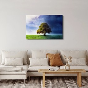 Obraz - Deň a noc (90x60 cm)
