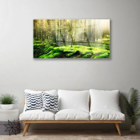 Obraz na akrylátovom skle Mech les príroda 100x50 cm