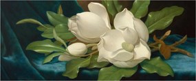 Obraz - Martin Johnson Heade, Giant Magnolias on a Blue Velvet Cloth, reprodukcia (120x50 cm)