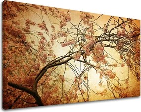 Obraz na stenu KVETY KV009E11 - 80x120 cm