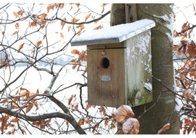 Drevená vtáčia búdka – Esschert Design