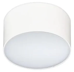 Azzardo AZ2257 - LED Stropné svietidlo MONZA 1xLED/10W/230V AZ2257