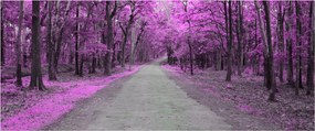 Obraz - Cesta parkom (120x50 cm)