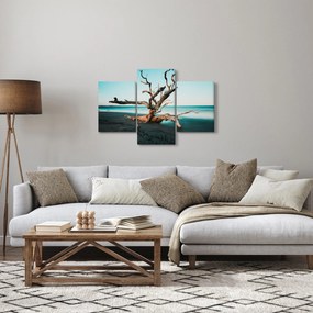 Obraz - Vyplavenie na pláži (90x60 cm)