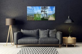 Obraz na skle Pláž strom príroda 100x50 cm