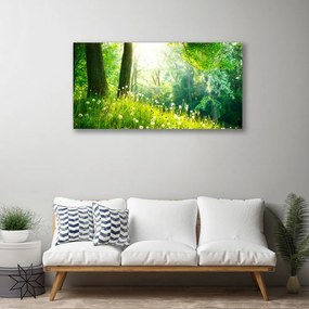 Obraz Canvas Lúka príroda rastlina 100x50 cm