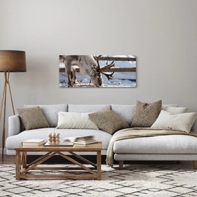 Obraz - Sob (120x50 cm)