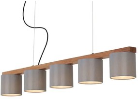 Briloner 4075-054 - Luster na lanku 5xE14/25W/230V