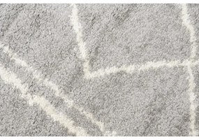 Kusový koberec Shaggy Pata šedý 240x330cm