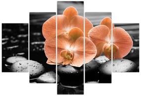 Obraz - Oranžové orchidey (150x105 cm)