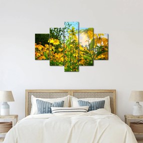 Obraz žltých kvetov (150x105 cm)